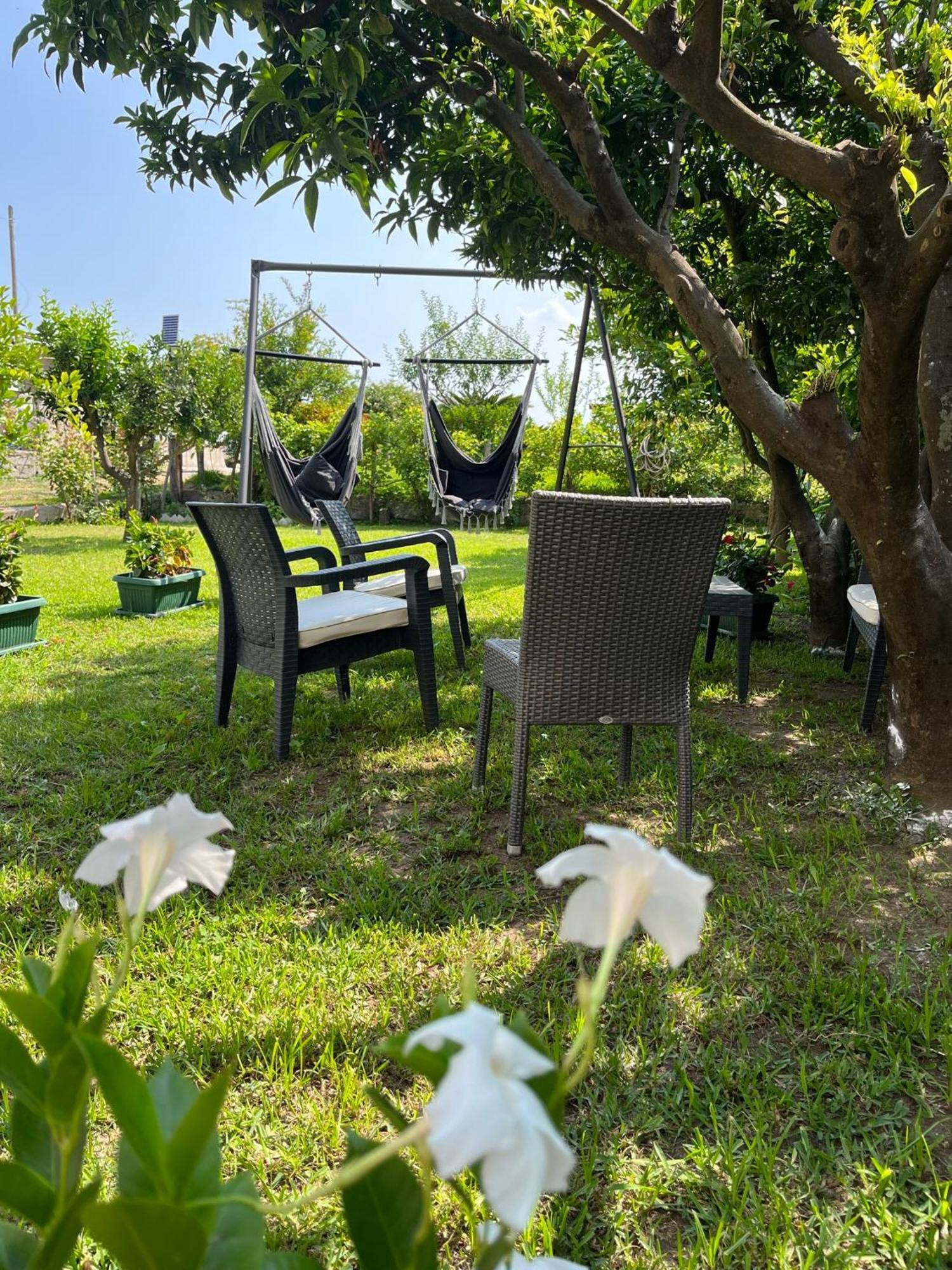 B&B Da Francesco Paestum Exterior photo